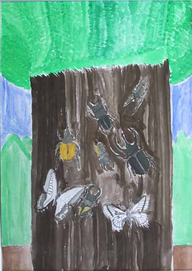 木にくっついた昆虫