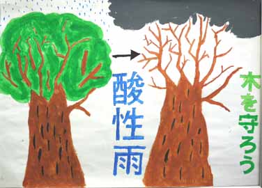 酸性雨が木を枯らす