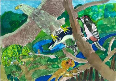 山の奥は自然王国