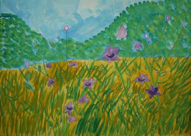 キキョウのさく野原