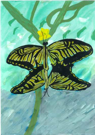 アゲハチョウの組体操