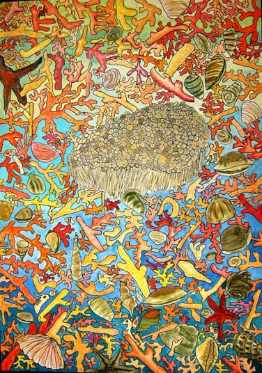 私の心の中のサンゴ