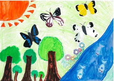 ちょうちょがたくさんとんでる！！