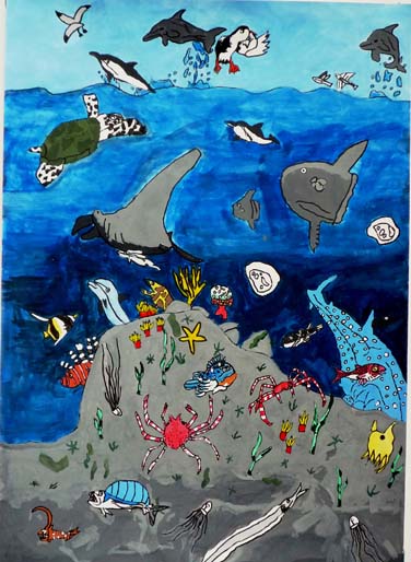 きれいな海の生きものたち