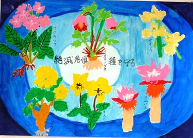 絶滅危惧種を守る