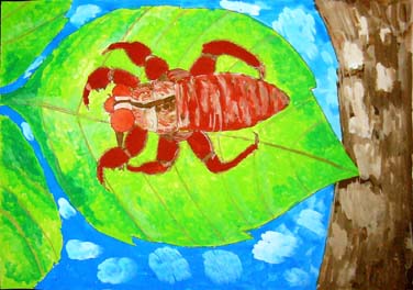 あれ？葉っぱにセミ？