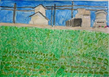 いねはしっかり残るかな