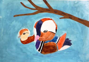 ぜつめつ中のオシドリ