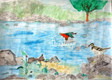 これからも守っていきたい自然