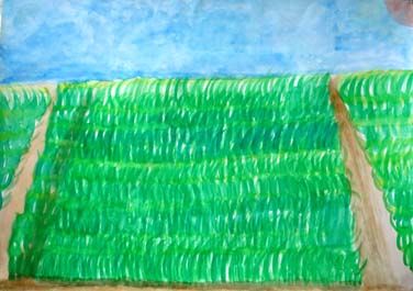 残したい　きれいな緑と青い空