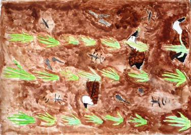 生物いっぱいの田んぼ