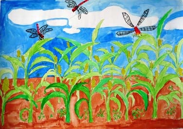 夏のアキアカネ