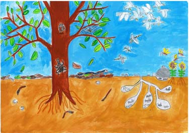 生きものを大切にしよう