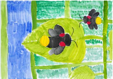 きれいなホタル