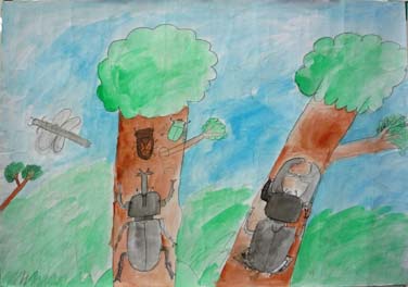 カブトムシとクワガタ