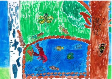 生きものの環境