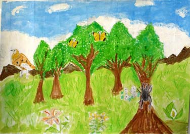 山の自ぜんをのこしたい