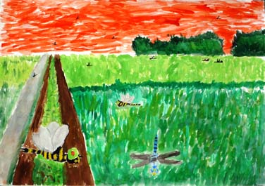 夕方の田んぼのけしき