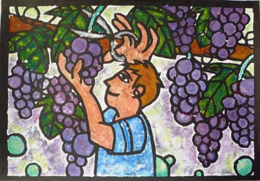 大切にしたい駒立のぶどう