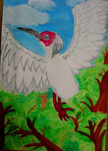 未来へはばたくトキ