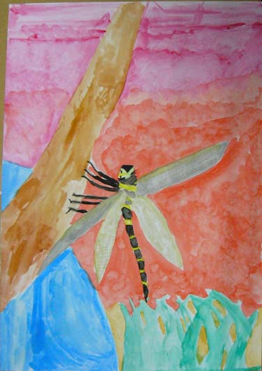 夕日にそまるとんぼ