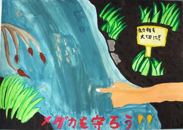 メダカを守ろう！