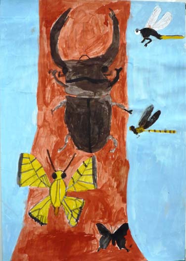 大きなくわがた