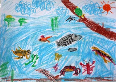 水の中の生き物