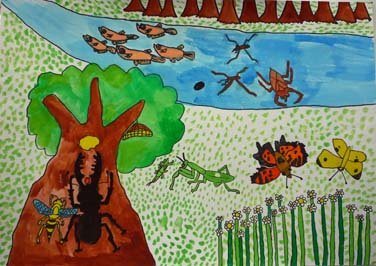 たくさんの生き物がくらす自然