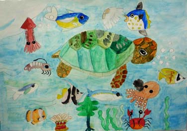 カメさんのすむうみ（海）