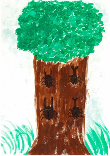 自然にいるカブト・クワガタ