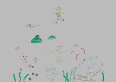 魚がいっぱい泳げるように