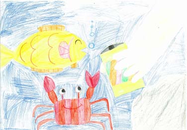 海をきれいにしよう