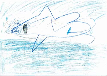 うみであそんでいるいるか