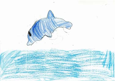 うみであそんでいるいるか