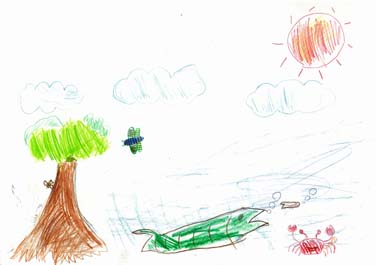 きれいなすがた