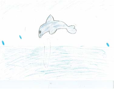 うみであそんでいるいるか