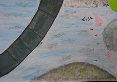 川であったいきものたち