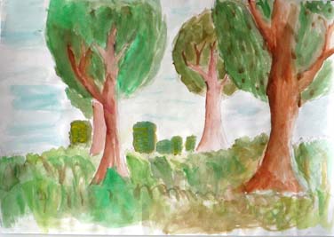 少なくなる森林