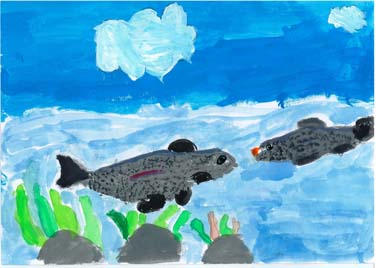 かわにすむおさかなたち