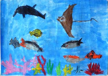 うみのなかのいきもの