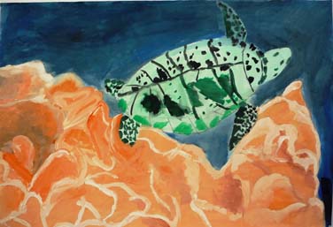 うみがめとサンゴ