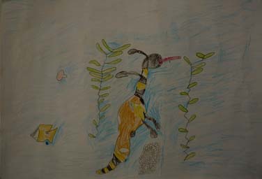 ふしぎなシードラゴン