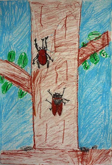 わたしがみたむし