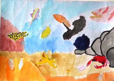 きれいな水と生き物たち