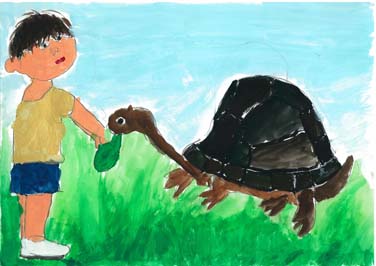 カメのエサやり