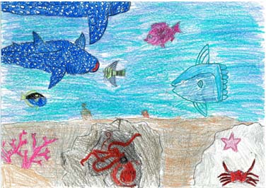 海をキレイにしよう