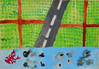 キレイな川と田んぼ