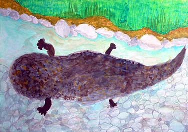 オオサンショウ