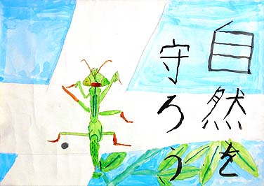 カマキリのにっこうよく